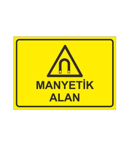 Manyetik Alan